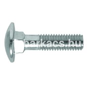 Kapup&aacute;ntcsavar DIN603   M8&times;  40